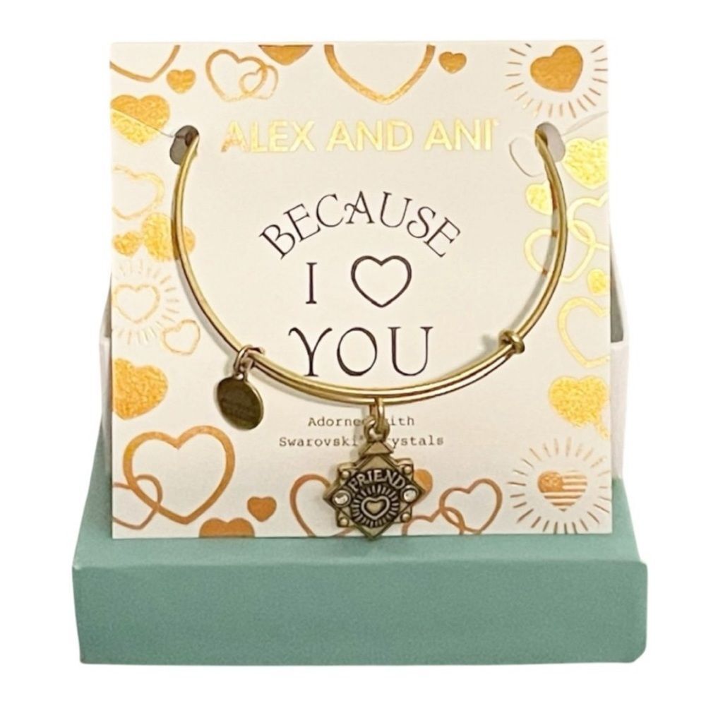 NEW Alex and Ani Because I Love You Bangle Charm Friend Gift